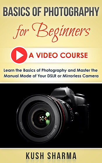 Basics of Photography Course