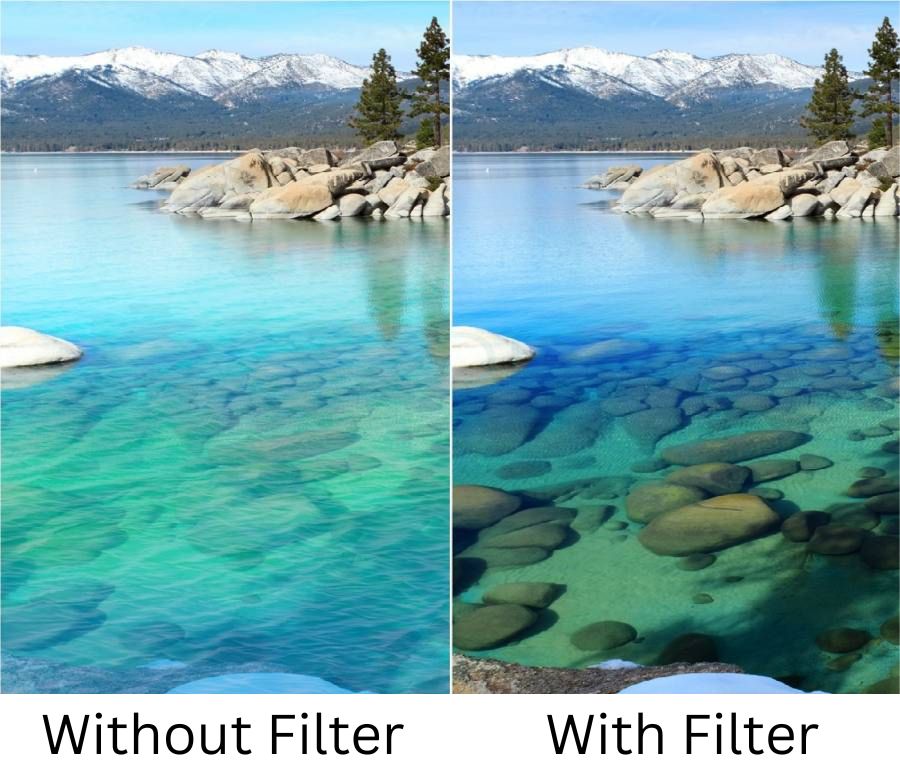 what does a polarizing filter do